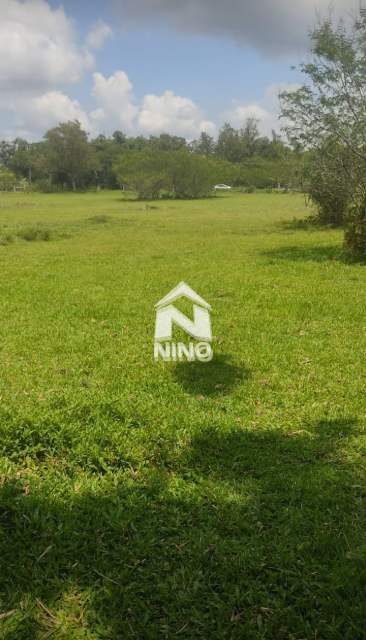 Foto cadastro cód. 51681