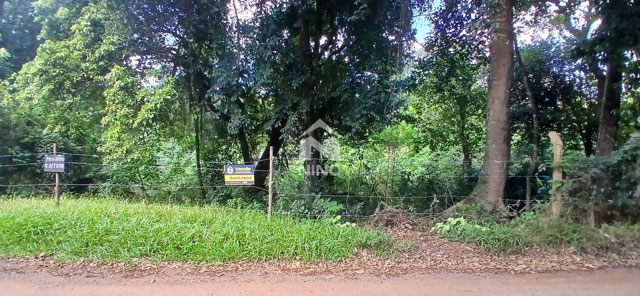 Foto cadastro cód. 51749