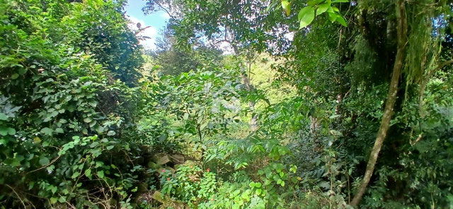 Foto cadastro cód. 51749