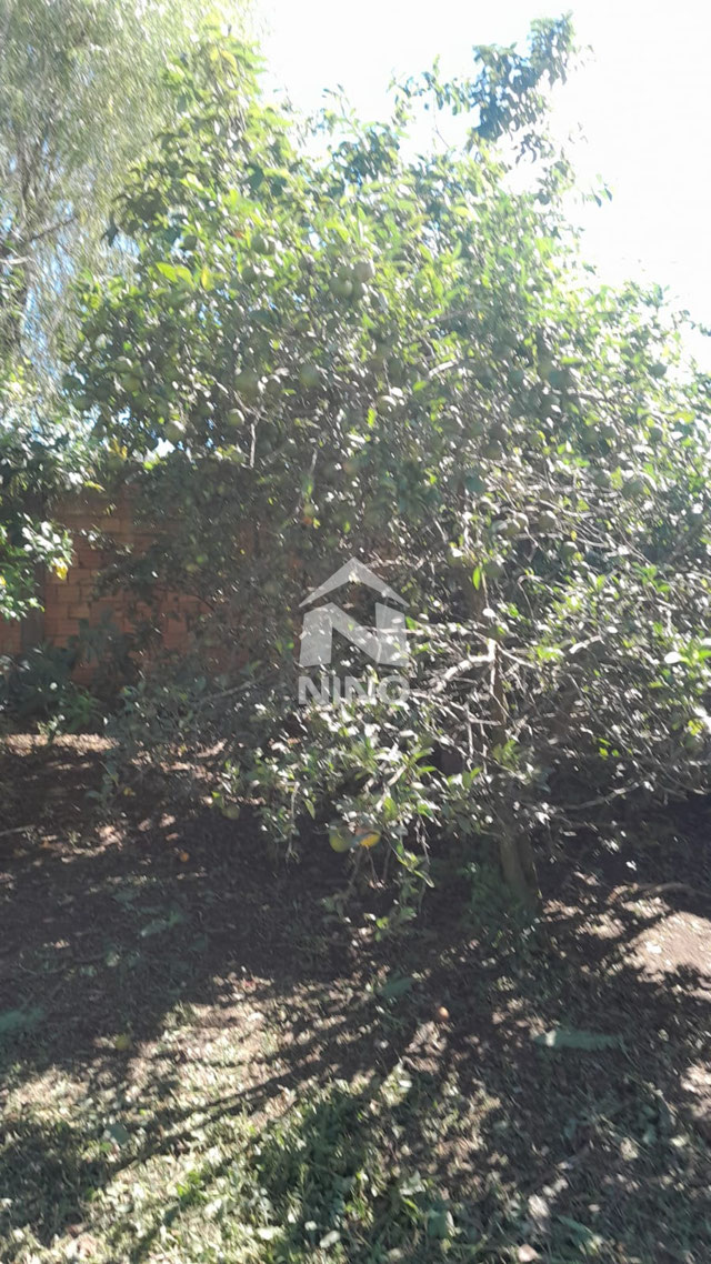 Foto cadastro cód. 51763