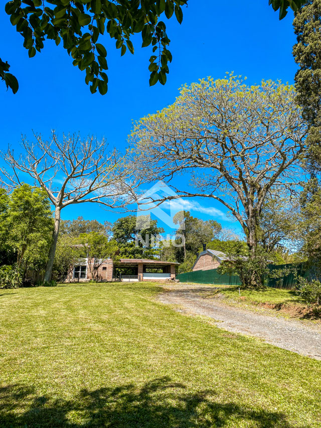Foto cadastro cód. 52775