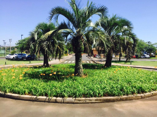 Foto cadastro cód. 5