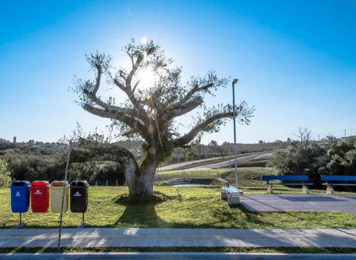 Foto cadastro cód. 916