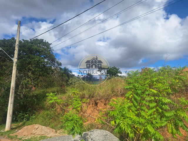 Foto cadastro cód. 96