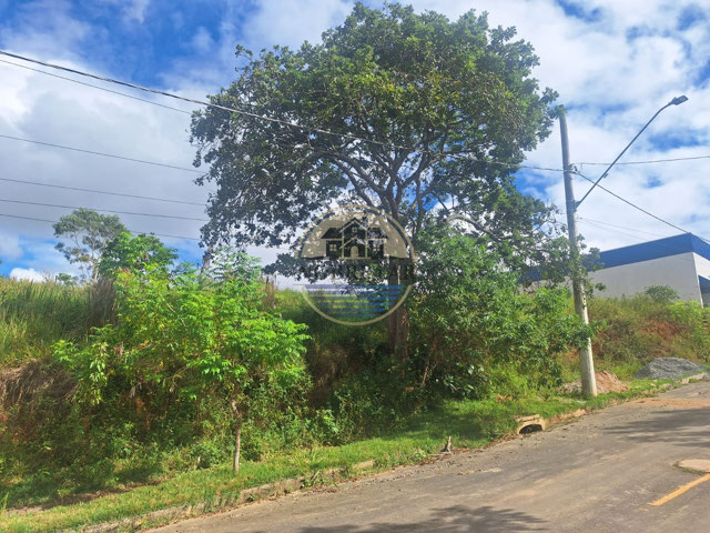 Foto cadastro cód. 96