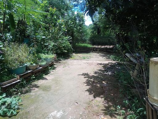 Foto cadastro cód. 12221