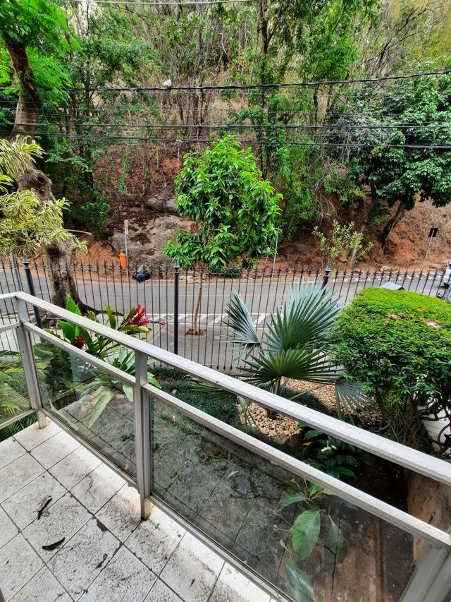 Foto cadastro cód. 12472