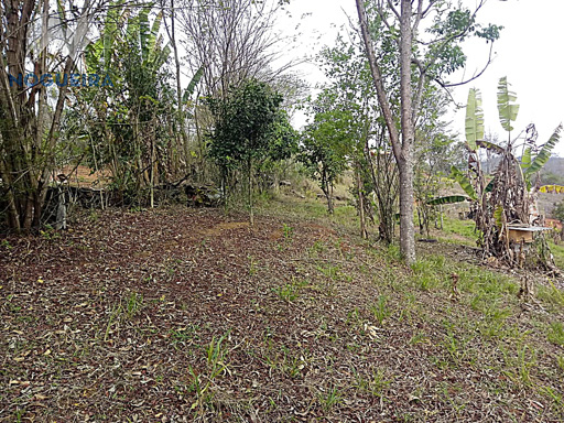 Sua oportunidade de viver em uma Granja!