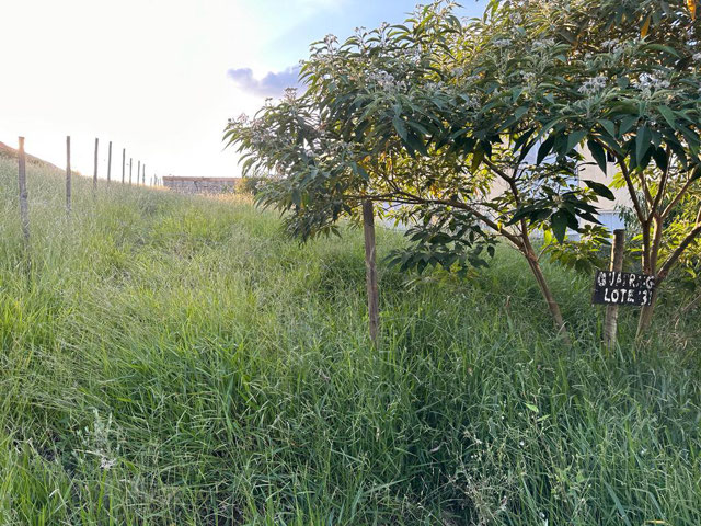 EXCELENTE TERRENO