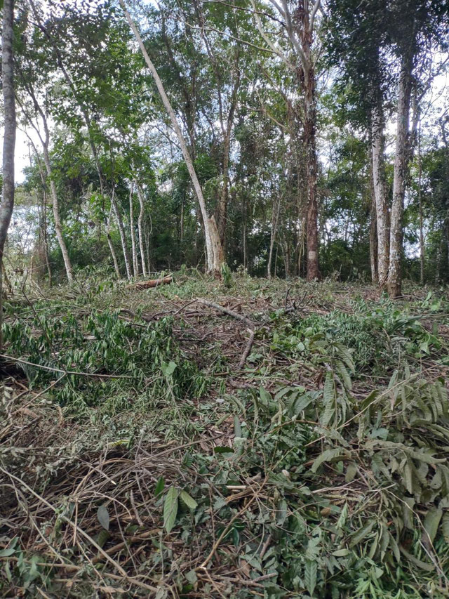 Foto cadastro cód. 15930