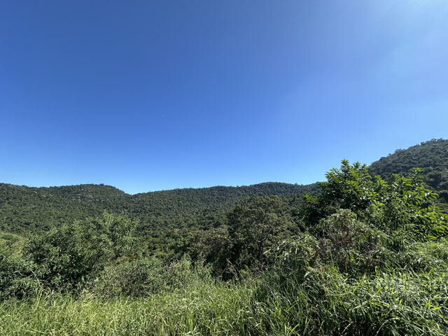 Foto cadastro cód. 16088