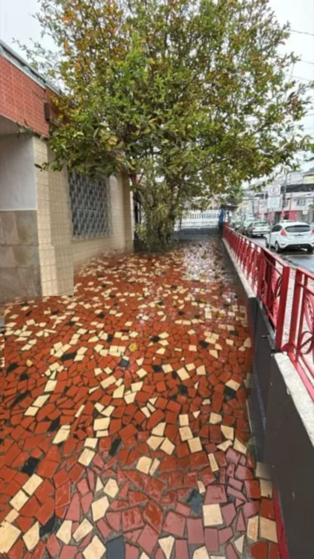 Foto cadastro cód. 16266