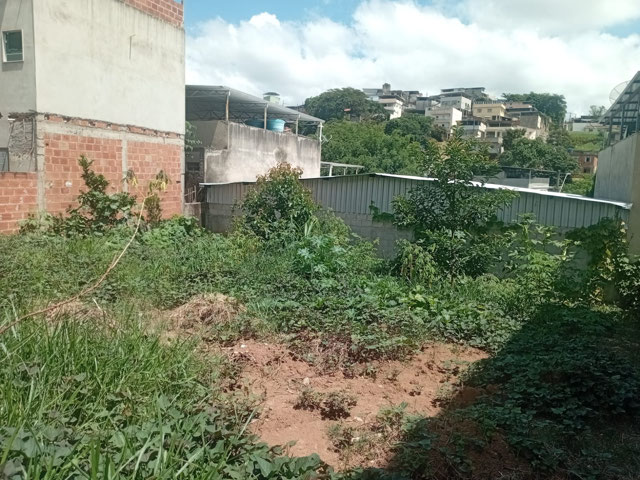 Foto cadastro cód. 16540