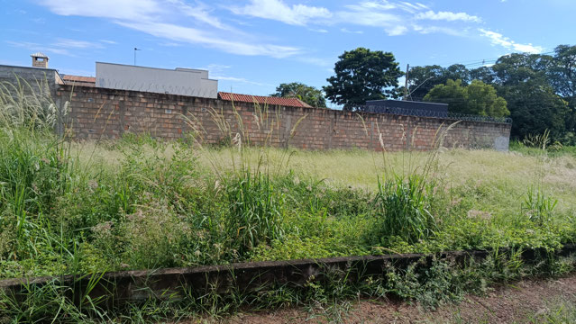 Foto cadastro cód. 200