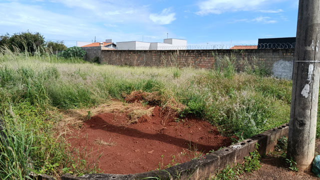 Foto cadastro cód. 200