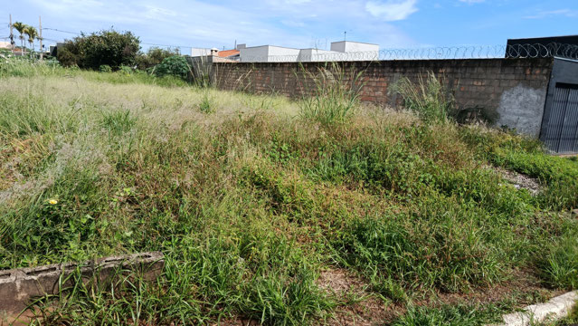 Foto cadastro cód. 200