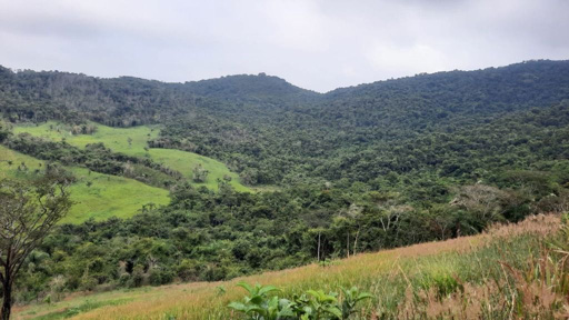 Olha você acordar com esta vista!