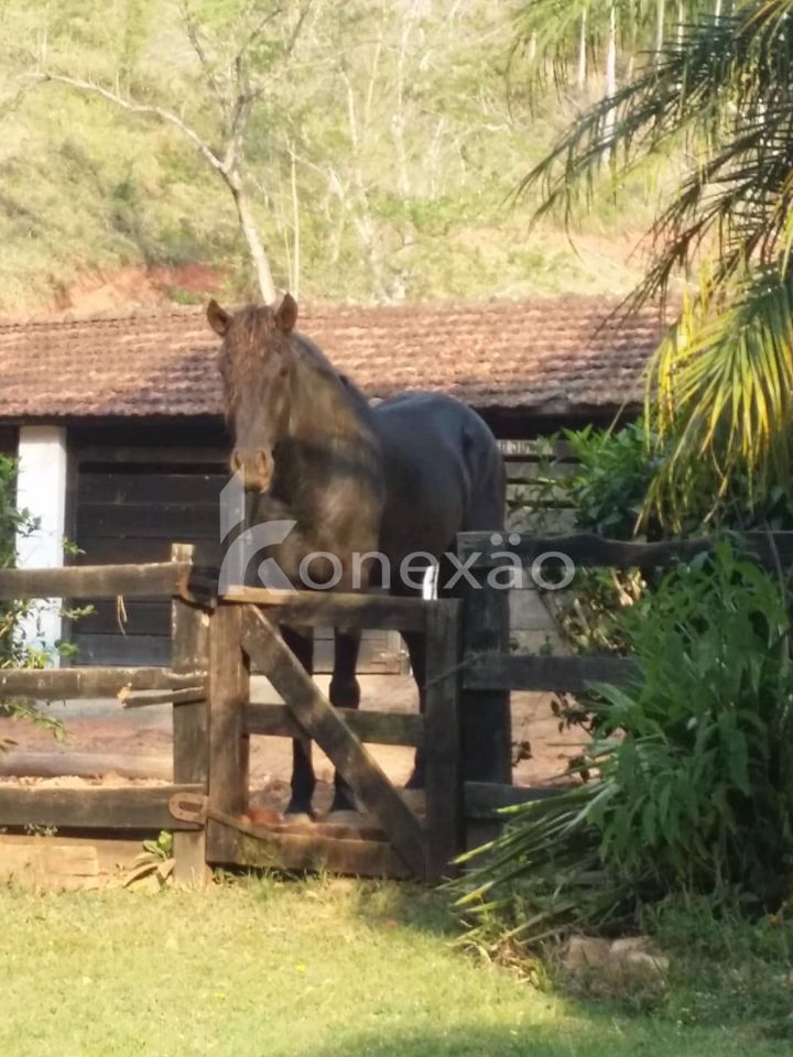 Chãozão - O Maior Portal de Anúncios de Imóveis Rurais do Brasil.