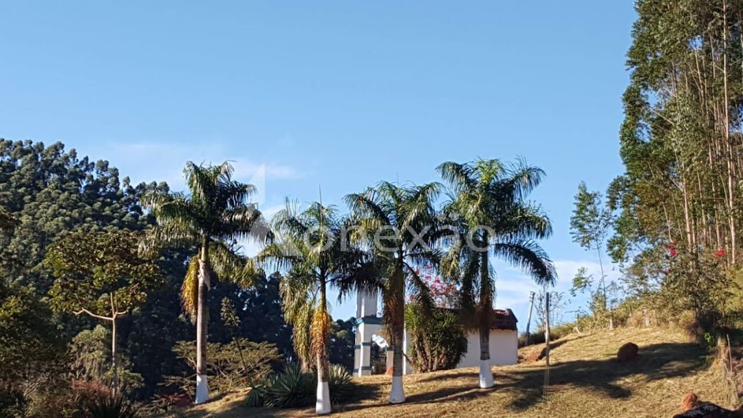 Chãozão - O Maior Portal de Anúncios de Imóveis Rurais do Brasil.