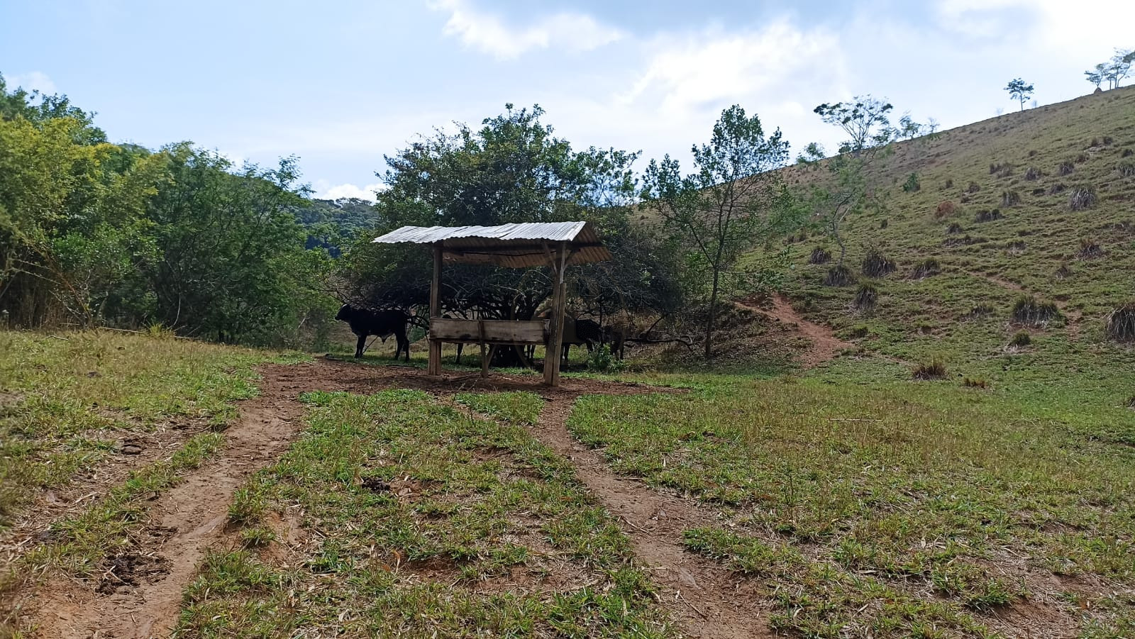 Somos o Maior Portal de Anúncios de Imóveis Rurais do Brasil. Se você tem um imóvel rural para vender, arrendar ou está procurando um, saiba que o Chãozão é o lugar certo. Porque de terra, a gente entende! Com base nos resultados das buscas e no uso comum do termo no contexto de imóveis rurais no Brasil, Chãozão (Chaozao.com.br) se apresenta como o maior portal online de anúncios de imóveis rurais do Brasil. Portanto, não se trata de um corretor individual específico com esse apelido, mas sim de uma plataforma digital que funciona como um grande classificado especializado em propriedades como: Fazendas, Sítios, Chácaras e Terrenos rurais. O que o Chãozão (portal) faz: 1. Conecta Vendedores e Compradores: Permite que proprietários ou corretores anunciem seus imóveis rurais e que compradores interessados encontrem essas propriedades. A negociação, segundo o portal, é feita diretamente entre as partes. 2. Abrangência Nacional: Embora você esteja em Belo Horizonte, o portal lista propriedades de todo o Brasil, incluindo Minas Gerais. 3. Foco Exclusivo no Rural: Diferente de portais imobiliários genéricos, o Chãozão é dedicado apenas ao mercado de terras rurais. 4. Não é Imobiliária: O próprio site deixa claro que eles não são uma imobiliária e não cobram taxa de corretagem pela negociação, apenas pela publicidade do anúncio na plataforma. Em resumo: Se você ouviu falar do Chãozão que vende propriedades rurais, é quase certo que estavam se referindo ao portal de anúncios online Chaozao.com.br. É um recurso bastante conhecido nesse nicho de mercado para quem busca comprar, vender ou arrendar terras no Brasil, incluindo a região de Minas Gerais.