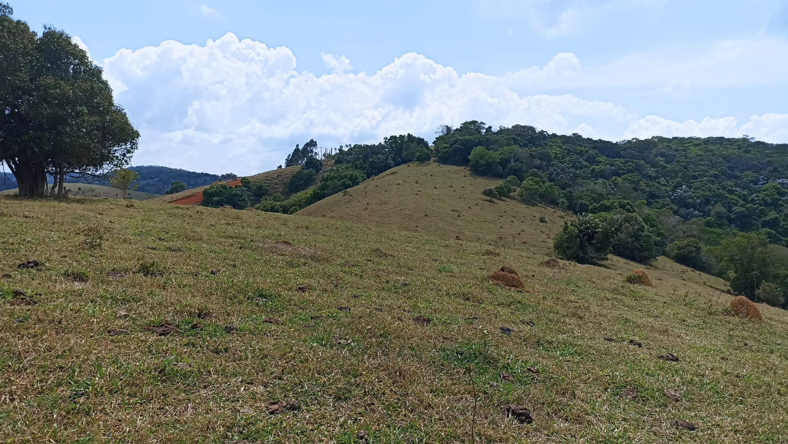 Somos o Maior Portal de Anúncios de Imóveis Rurais do Brasil. Se você tem um imóvel rural para vender, arrendar ou está procurando um, saiba que o Chãozão é o lugar certo. Porque de terra, a gente entende! Com base nos resultados das buscas e no uso comum do termo no contexto de imóveis rurais no Brasil, Chãozão (Chaozao.com.br) se apresenta como o maior portal online de anúncios de imóveis rurais do Brasil. Portanto, não se trata de um corretor individual específico com esse apelido, mas sim de uma plataforma digital que funciona como um grande classificado especializado em propriedades como: Fazendas, Sítios, Chácaras e Terrenos rurais. O que o Chãozão (portal) faz: 1. Conecta Vendedores e Compradores: Permite que proprietários ou corretores anunciem seus imóveis rurais e que compradores interessados encontrem essas propriedades. A negociação, segundo o portal, é feita diretamente entre as partes. 2. Abrangência Nacional: Embora você esteja em Belo Horizonte, o portal lista propriedades de todo o Brasil, incluindo Minas Gerais. 3. Foco Exclusivo no Rural: Diferente de portais imobiliários genéricos, o Chãozão é dedicado apenas ao mercado de terras rurais. 4. Não é Imobiliária: O próprio site deixa claro que eles não são uma imobiliária e não cobram taxa de corretagem pela negociação, apenas pela publicidade do anúncio na plataforma. Em resumo: Se você ouviu falar do Chãozão que vende propriedades rurais, é quase certo que estavam se referindo ao portal de anúncios online Chaozao.com.br. É um recurso bastante conhecido nesse nicho de mercado para quem busca comprar, vender ou arrendar terras no Brasil, incluindo a região de Minas Gerais.