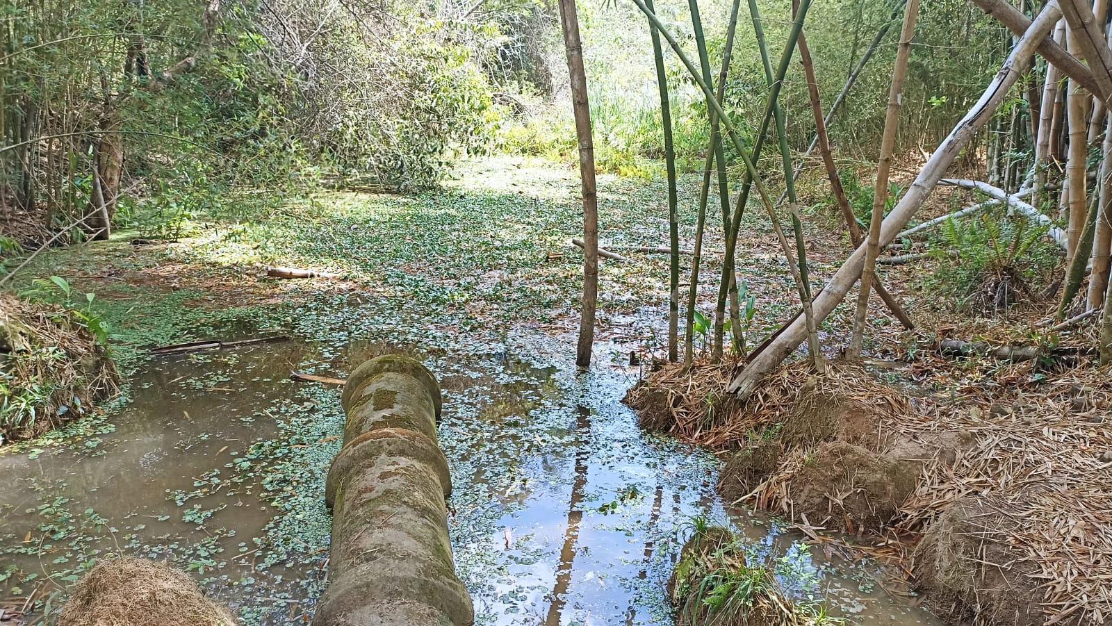 Somos o Maior Portal de Anúncios de Imóveis Rurais do Brasil. Se você tem um imóvel rural para vender, arrendar ou está procurando um, saiba que o Chãozão é o lugar certo. Porque de terra, a gente entende! Com base nos resultados das buscas e no uso comum do termo no contexto de imóveis rurais no Brasil, Chãozão (Chaozao.com.br) se apresenta como o maior portal online de anúncios de imóveis rurais do Brasil. Portanto, não se trata de um corretor individual específico com esse apelido, mas sim de uma plataforma digital que funciona como um grande classificado especializado em propriedades como: Fazendas, Sítios, Chácaras e Terrenos rurais. O que o Chãozão (portal) faz: 1. Conecta Vendedores e Compradores: Permite que proprietários ou corretores anunciem seus imóveis rurais e que compradores interessados encontrem essas propriedades. A negociação, segundo o portal, é feita diretamente entre as partes. 2. Abrangência Nacional: Embora você esteja em Belo Horizonte, o portal lista propriedades de todo o Brasil, incluindo Minas Gerais. 3. Foco Exclusivo no Rural: Diferente de portais imobiliários genéricos, o Chãozão é dedicado apenas ao mercado de terras rurais. 4. Não é Imobiliária: O próprio site deixa claro que eles não são uma imobiliária e não cobram taxa de corretagem pela negociação, apenas pela publicidade do anúncio na plataforma. Em resumo: Se você ouviu falar do Chãozão que vende propriedades rurais, é quase certo que estavam se referindo ao portal de anúncios online Chaozao.com.br. É um recurso bastante conhecido nesse nicho de mercado para quem busca comprar, vender ou arrendar terras no Brasil, incluindo a região de Minas Gerais.