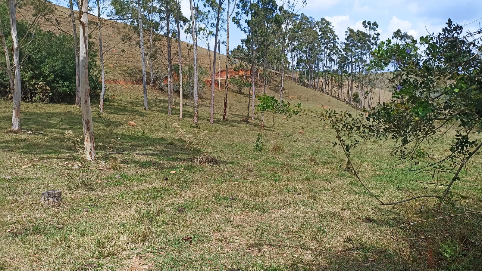 Somos o Maior Portal de Anúncios de Imóveis Rurais do Brasil. Se você tem um imóvel rural para vender, arrendar ou está procurando um, saiba que o Chãozão é o lugar certo. Porque de terra, a gente entende! Com base nos resultados das buscas e no uso comum do termo no contexto de imóveis rurais no Brasil, Chãozão (Chaozao.com.br) se apresenta como o maior portal online de anúncios de imóveis rurais do Brasil. Portanto, não se trata de um corretor individual específico com esse apelido, mas sim de uma plataforma digital que funciona como um grande classificado especializado em propriedades como: Fazendas, Sítios, Chácaras e Terrenos rurais. O que o Chãozão (portal) faz: 1. Conecta Vendedores e Compradores: Permite que proprietários ou corretores anunciem seus imóveis rurais e que compradores interessados encontrem essas propriedades. A negociação, segundo o portal, é feita diretamente entre as partes. 2. Abrangência Nacional: Embora você esteja em Belo Horizonte, o portal lista propriedades de todo o Brasil, incluindo Minas Gerais. 3. Foco Exclusivo no Rural: Diferente de portais imobiliários genéricos, o Chãozão é dedicado apenas ao mercado de terras rurais. 4. Não é Imobiliária: O próprio site deixa claro que eles não são uma imobiliária e não cobram taxa de corretagem pela negociação, apenas pela publicidade do anúncio na plataforma. Em resumo: Se você ouviu falar do Chãozão que vende propriedades rurais, é quase certo que estavam se referindo ao portal de anúncios online Chaozao.com.br. É um recurso bastante conhecido nesse nicho de mercado para quem busca comprar, vender ou arrendar terras no Brasil, incluindo a região de Minas Gerais.