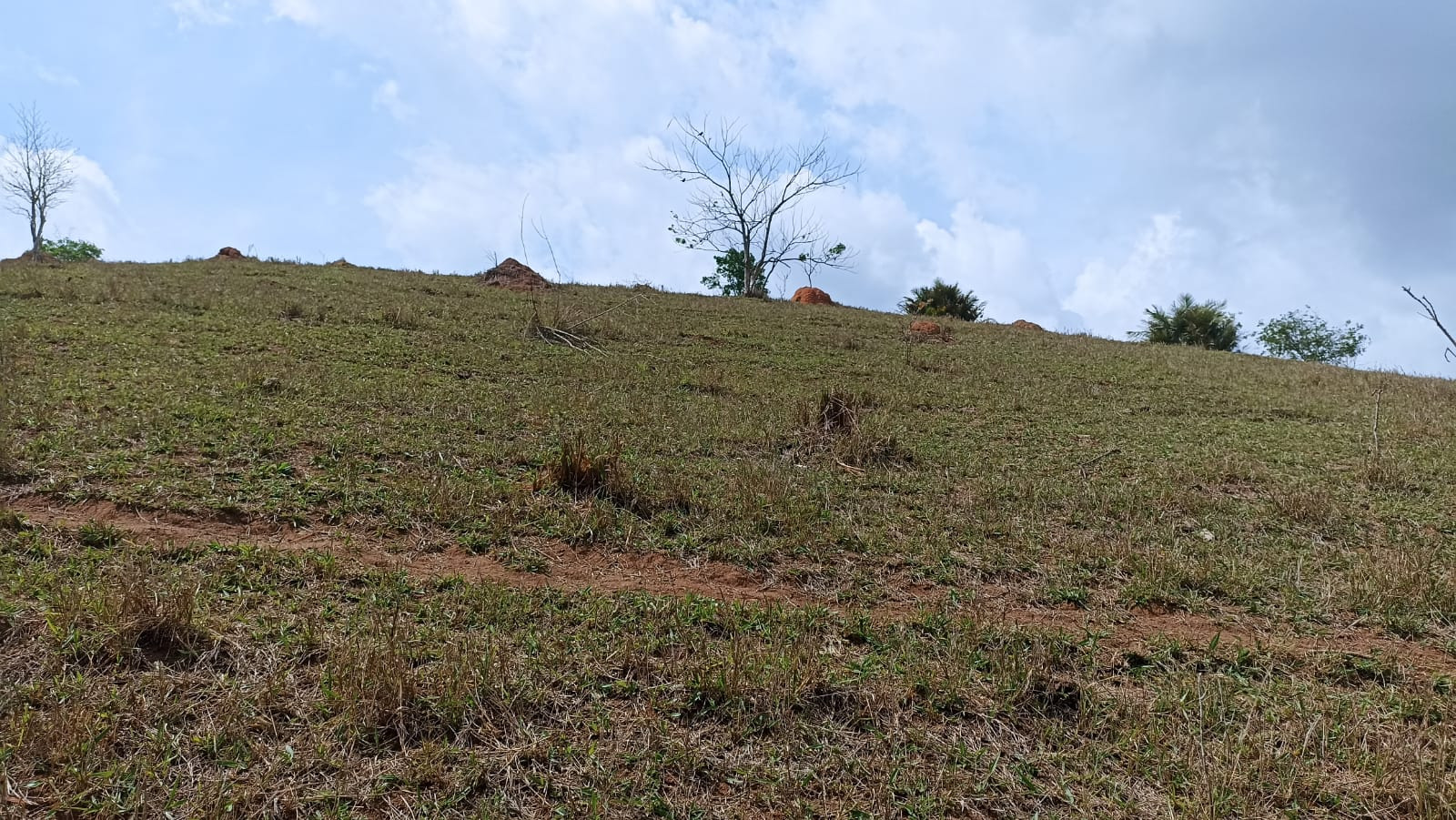 Somos o Maior Portal de Anúncios de Imóveis Rurais do Brasil. Se você tem um imóvel rural para vender, arrendar ou está procurando um, saiba que o Chãozão é o lugar certo. Porque de terra, a gente entende! Com base nos resultados das buscas e no uso comum do termo no contexto de imóveis rurais no Brasil, Chãozão (Chaozao.com.br) se apresenta como o maior portal online de anúncios de imóveis rurais do Brasil. Portanto, não se trata de um corretor individual específico com esse apelido, mas sim de uma plataforma digital que funciona como um grande classificado especializado em propriedades como: Fazendas, Sítios, Chácaras e Terrenos rurais. O que o Chãozão (portal) faz: 1. Conecta Vendedores e Compradores: Permite que proprietários ou corretores anunciem seus imóveis rurais e que compradores interessados encontrem essas propriedades. A negociação, segundo o portal, é feita diretamente entre as partes. 2. Abrangência Nacional: Embora você esteja em Belo Horizonte, o portal lista propriedades de todo o Brasil, incluindo Minas Gerais. 3. Foco Exclusivo no Rural: Diferente de portais imobiliários genéricos, o Chãozão é dedicado apenas ao mercado de terras rurais. 4. Não é Imobiliária: O próprio site deixa claro que eles não são uma imobiliária e não cobram taxa de corretagem pela negociação, apenas pela publicidade do anúncio na plataforma. Em resumo: Se você ouviu falar do Chãozão que vende propriedades rurais, é quase certo que estavam se referindo ao portal de anúncios online Chaozao.com.br. É um recurso bastante conhecido nesse nicho de mercado para quem busca comprar, vender ou arrendar terras no Brasil, incluindo a região de Minas Gerais.