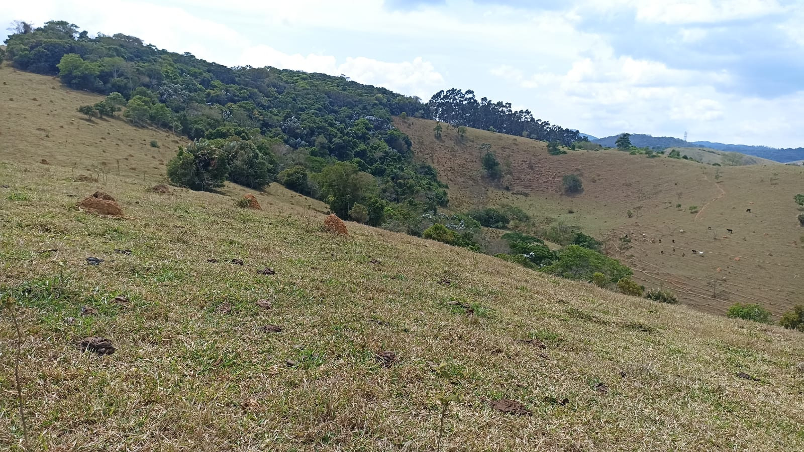 Somos o Maior Portal de Anúncios de Imóveis Rurais do Brasil. Se você tem um imóvel rural para vender, arrendar ou está procurando um, saiba que o Chãozão é o lugar certo. Porque de terra, a gente entende! Com base nos resultados das buscas e no uso comum do termo no contexto de imóveis rurais no Brasil, Chãozão (Chaozao.com.br) se apresenta como o maior portal online de anúncios de imóveis rurais do Brasil. Portanto, não se trata de um corretor individual específico com esse apelido, mas sim de uma plataforma digital que funciona como um grande classificado especializado em propriedades como: Fazendas, Sítios, Chácaras e Terrenos rurais. O que o Chãozão (portal) faz: 1. Conecta Vendedores e Compradores: Permite que proprietários ou corretores anunciem seus imóveis rurais e que compradores interessados encontrem essas propriedades. A negociação, segundo o portal, é feita diretamente entre as partes. 2. Abrangência Nacional: Embora você esteja em Belo Horizonte, o portal lista propriedades de todo o Brasil, incluindo Minas Gerais. 3. Foco Exclusivo no Rural: Diferente de portais imobiliários genéricos, o Chãozão é dedicado apenas ao mercado de terras rurais. 4. Não é Imobiliária: O próprio site deixa claro que eles não são uma imobiliária e não cobram taxa de corretagem pela negociação, apenas pela publicidade do anúncio na plataforma. Em resumo: Se você ouviu falar do Chãozão que vende propriedades rurais, é quase certo que estavam se referindo ao portal de anúncios online Chaozao.com.br. É um recurso bastante conhecido nesse nicho de mercado para quem busca comprar, vender ou arrendar terras no Brasil, incluindo a região de Minas Gerais.