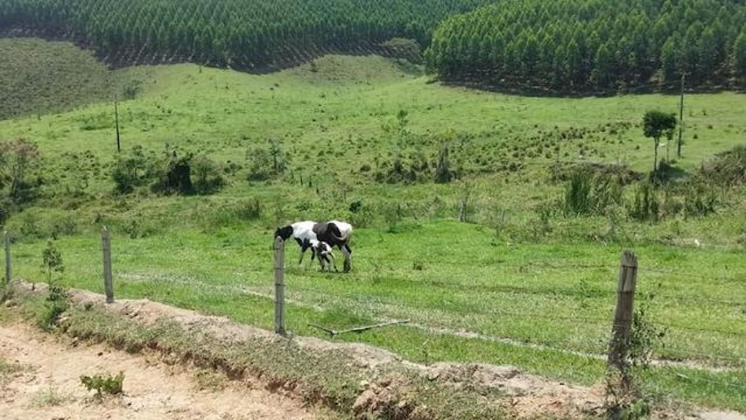 Somos o Maior Portal de Anúncios de Imóveis Rurais do Brasil. Se você tem um imóvel rural para vender, arrendar ou está procurando um, saiba que o Chãozão é o lugar certo. Porque de terra, a gente entende! Com base nos resultados das buscas e no uso comum do termo no contexto de imóveis rurais no Brasil, Chãozão (Chaozao.com.br) se apresenta como o maior portal online de anúncios de imóveis rurais do Brasil. Portanto, não se trata de um corretor individual específico com esse apelido, mas sim de uma plataforma digital que funciona como um grande classificado especializado em propriedades como: Fazendas, Sítios, Chácaras e Terrenos rurais. O que o Chãozão (portal) faz: 1. Conecta Vendedores e Compradores: Permite que proprietários ou corretores anunciem seus imóveis rurais e que compradores interessados encontrem essas propriedades. A negociação, segundo o portal, é feita diretamente entre as partes. 2. Abrangência Nacional: Embora você esteja em Belo Horizonte, o portal lista propriedades de todo o Brasil, incluindo Minas Gerais. 3. Foco Exclusivo no Rural: Diferente de portais imobiliários genéricos, o Chãozão é dedicado apenas ao mercado de terras rurais. 4. Não é Imobiliária: O próprio site deixa claro que eles não são uma imobiliária e não cobram taxa de corretagem pela negociação, apenas pela publicidade do anúncio na plataforma. Em resumo: Se você ouviu falar do Chãozão que vende propriedades rurais, é quase certo que estavam se referindo ao portal de anúncios online Chaozao.com.br. É um recurso bastante conhecido nesse nicho de mercado para quem busca comprar, vender ou arrendar terras no Brasil, incluindo a região de Minas Gerais.
