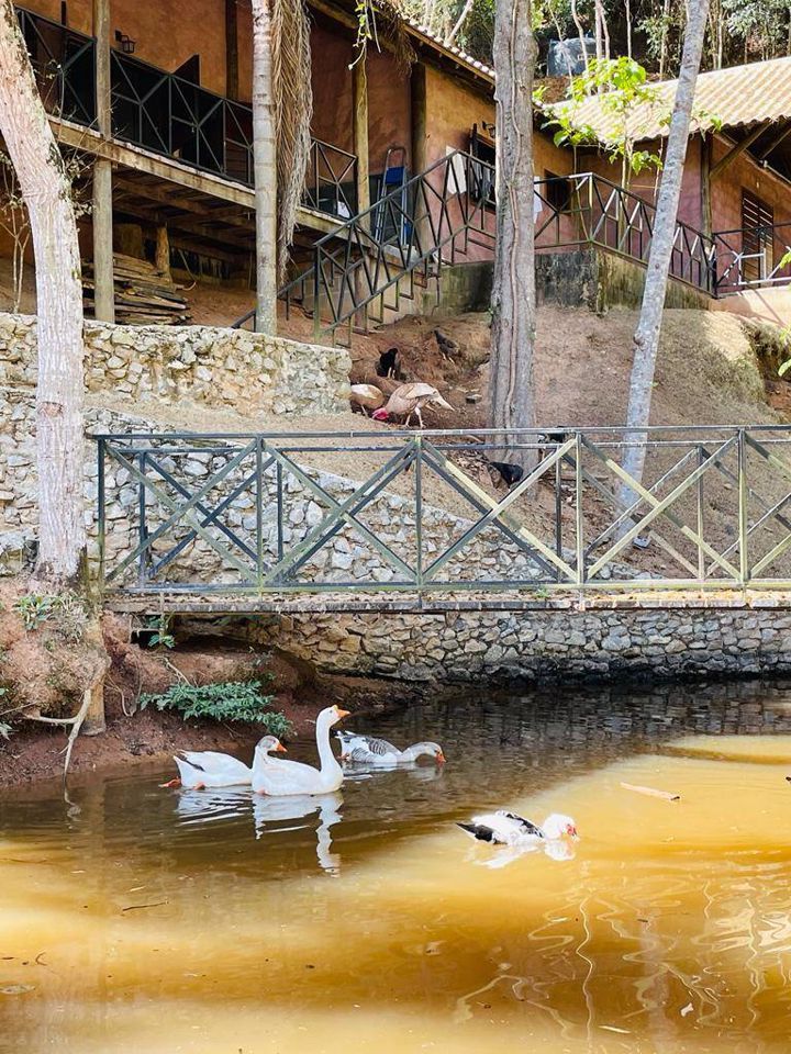 Chãozão - O Maior Portal de Anúncios de Imóveis Rurais do Brasil.