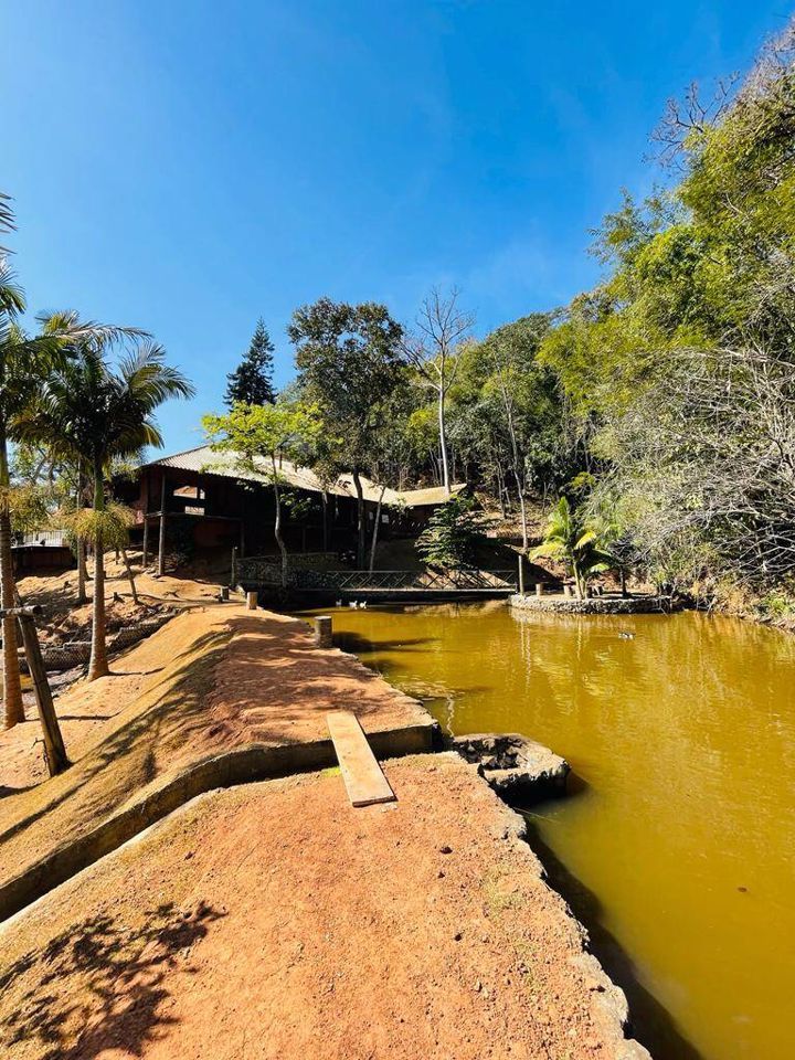 Chãozão - O Maior Portal de Anúncios de Imóveis Rurais do Brasil.