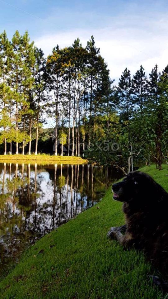 Chãozão - O Maior Portal de Anúncios de Imóveis Rurais do Brasil.