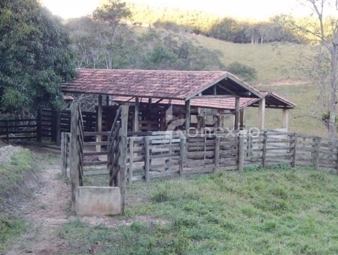 Chãozão - O Maior Portal de Anúncios de Imóveis Rurais do Brasil.