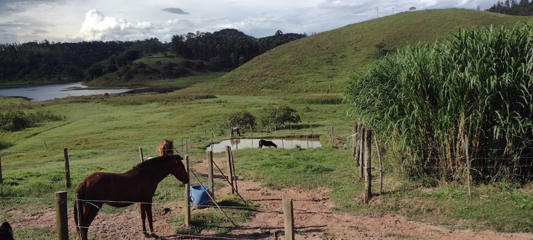 Chãozão - O Maior Portal de Anúncios de Imóveis Rurais do Brasil.