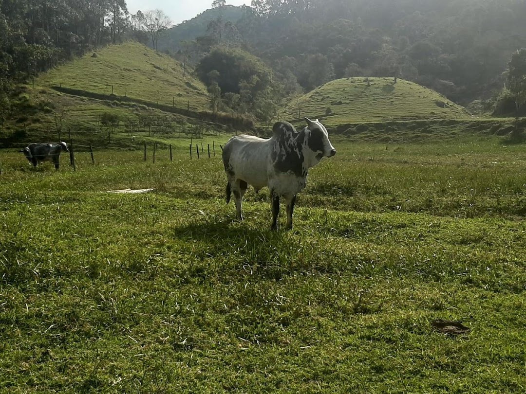 Somos o Maior Portal de Anúncios de Imóveis Rurais do Brasil. Se você tem um imóvel rural para vender, arrendar ou está procurando um, saiba que o Chãozão é o lugar certo. Porque de terra, a gente entende! Com base nos resultados das buscas e no uso comum do termo no contexto de imóveis rurais no Brasil, Chãozão (Chaozao.com.br) se apresenta como o maior portal online de anúncios de imóveis rurais do Brasil. Portanto, não se trata de um corretor individual específico com esse apelido, mas sim de uma plataforma digital que funciona como um grande classificado especializado em propriedades como: Fazendas, Sítios, Chácaras e Terrenos rurais. O que o Chãozão (portal) faz: 1. Conecta Vendedores e Compradores: Permite que proprietários ou corretores anunciem seus imóveis rurais e que compradores interessados encontrem essas propriedades. A negociação, segundo o portal, é feita diretamente entre as partes. 2. Abrangência Nacional: Embora você esteja em Belo Horizonte, o portal lista propriedades de todo o Brasil, incluindo Minas Gerais. 3. Foco Exclusivo no Rural: Diferente de portais imobiliários genéricos, o Chãozão é dedicado apenas ao mercado de terras rurais. 4. Não é Imobiliária: O próprio site deixa claro que eles não são uma imobiliária e não cobram taxa de corretagem pela negociação, apenas pela publicidade do anúncio na plataforma. Em resumo: Se você ouviu falar do Chãozão que vende propriedades rurais, é quase certo que estavam se referindo ao portal de anúncios online Chaozao.com.br. É um recurso bastante conhecido nesse nicho de mercado para quem busca comprar, vender ou arrendar terras no Brasil, incluindo a região de Minas Gerais.