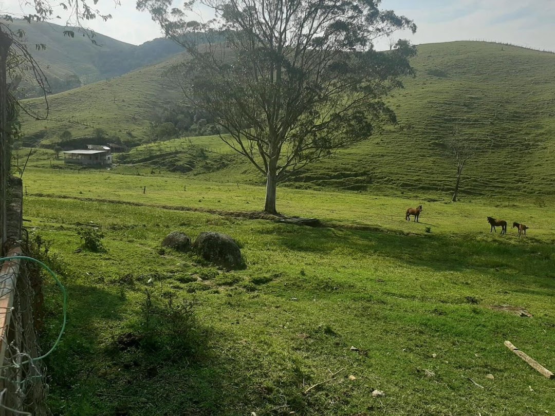 Somos o Maior Portal de Anúncios de Imóveis Rurais do Brasil. Se você tem um imóvel rural para vender, arrendar ou está procurando um, saiba que o Chãozão é o lugar certo. Porque de terra, a gente entende! Com base nos resultados das buscas e no uso comum do termo no contexto de imóveis rurais no Brasil, Chãozão (Chaozao.com.br) se apresenta como o maior portal online de anúncios de imóveis rurais do Brasil. Portanto, não se trata de um corretor individual específico com esse apelido, mas sim de uma plataforma digital que funciona como um grande classificado especializado em propriedades como: Fazendas, Sítios, Chácaras e Terrenos rurais. O que o Chãozão (portal) faz: 1. Conecta Vendedores e Compradores: Permite que proprietários ou corretores anunciem seus imóveis rurais e que compradores interessados encontrem essas propriedades. A negociação, segundo o portal, é feita diretamente entre as partes. 2. Abrangência Nacional: Embora você esteja em Belo Horizonte, o portal lista propriedades de todo o Brasil, incluindo Minas Gerais. 3. Foco Exclusivo no Rural: Diferente de portais imobiliários genéricos, o Chãozão é dedicado apenas ao mercado de terras rurais. 4. Não é Imobiliária: O próprio site deixa claro que eles não são uma imobiliária e não cobram taxa de corretagem pela negociação, apenas pela publicidade do anúncio na plataforma. Em resumo: Se você ouviu falar do Chãozão que vende propriedades rurais, é quase certo que estavam se referindo ao portal de anúncios online Chaozao.com.br. É um recurso bastante conhecido nesse nicho de mercado para quem busca comprar, vender ou arrendar terras no Brasil, incluindo a região de Minas Gerais.