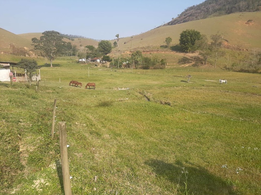 Somos o Maior Portal de Anúncios de Imóveis Rurais do Brasil. Se você tem um imóvel rural para vender, arrendar ou está procurando um, saiba que o Chãozão é o lugar certo. Porque de terra, a gente entende! Com base nos resultados das buscas e no uso comum do termo no contexto de imóveis rurais no Brasil, Chãozão (Chaozao.com.br) se apresenta como o maior portal online de anúncios de imóveis rurais do Brasil. Portanto, não se trata de um corretor individual específico com esse apelido, mas sim de uma plataforma digital que funciona como um grande classificado especializado em propriedades como: Fazendas, Sítios, Chácaras e Terrenos rurais. O que o Chãozão (portal) faz: 1. Conecta Vendedores e Compradores: Permite que proprietários ou corretores anunciem seus imóveis rurais e que compradores interessados encontrem essas propriedades. A negociação, segundo o portal, é feita diretamente entre as partes. 2. Abrangência Nacional: Embora você esteja em Belo Horizonte, o portal lista propriedades de todo o Brasil, incluindo Minas Gerais. 3. Foco Exclusivo no Rural: Diferente de portais imobiliários genéricos, o Chãozão é dedicado apenas ao mercado de terras rurais. 4. Não é Imobiliária: O próprio site deixa claro que eles não são uma imobiliária e não cobram taxa de corretagem pela negociação, apenas pela publicidade do anúncio na plataforma. Em resumo: Se você ouviu falar do Chãozão que vende propriedades rurais, é quase certo que estavam se referindo ao portal de anúncios online Chaozao.com.br. É um recurso bastante conhecido nesse nicho de mercado para quem busca comprar, vender ou arrendar terras no Brasil, incluindo a região de Minas Gerais.