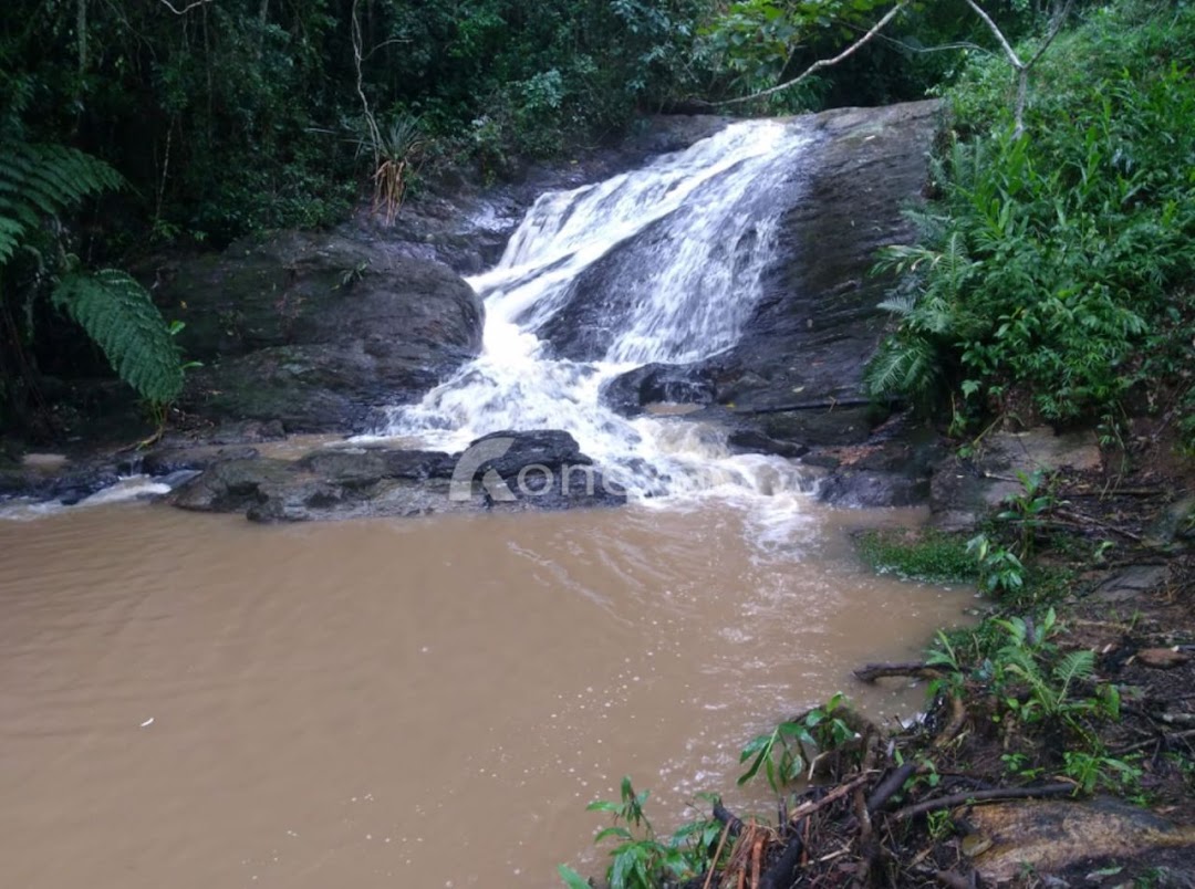 Chãozão - O Maior Portal de Anúncios de Imóveis Rurais do Brasil.