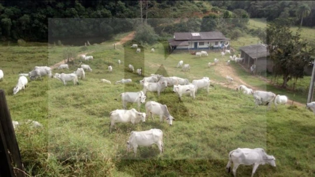 Somos o Maior Portal de Anúncios de Imóveis Rurais do Brasil. Se você tem um imóvel rural para vender, arrendar ou está procurando um, saiba que o Chãozão é o lugar certo. Porque de terra, a gente entende! Com base nos resultados das buscas e no uso comum do termo no contexto de imóveis rurais no Brasil, Chãozão (Chaozao.com.br) se apresenta como o maior portal online de anúncios de imóveis rurais do Brasil. Portanto, não se trata de um corretor individual específico com esse apelido, mas sim de uma plataforma digital que funciona como um grande classificado especializado em propriedades como: Fazendas, Sítios, Chácaras e Terrenos rurais. O que o Chãozão (portal) faz: 1. Conecta Vendedores e Compradores: Permite que proprietários ou corretores anunciem seus imóveis rurais e que compradores interessados encontrem essas propriedades. A negociação, segundo o portal, é feita diretamente entre as partes. 2. Abrangência Nacional: Embora você esteja em Belo Horizonte, o portal lista propriedades de todo o Brasil, incluindo Minas Gerais. 3. Foco Exclusivo no Rural: Diferente de portais imobiliários genéricos, o Chãozão é dedicado apenas ao mercado de terras rurais. 4. Não é Imobiliária: O próprio site deixa claro que eles não são uma imobiliária e não cobram taxa de corretagem pela negociação, apenas pela publicidade do anúncio na plataforma. Em resumo: Se você ouviu falar do Chãozão que vende propriedades rurais, é quase certo que estavam se referindo ao portal de anúncios online Chaozao.com.br. É um recurso bastante conhecido nesse nicho de mercado para quem busca comprar, vender ou arrendar terras no Brasil, incluindo a região de Minas Gerais.