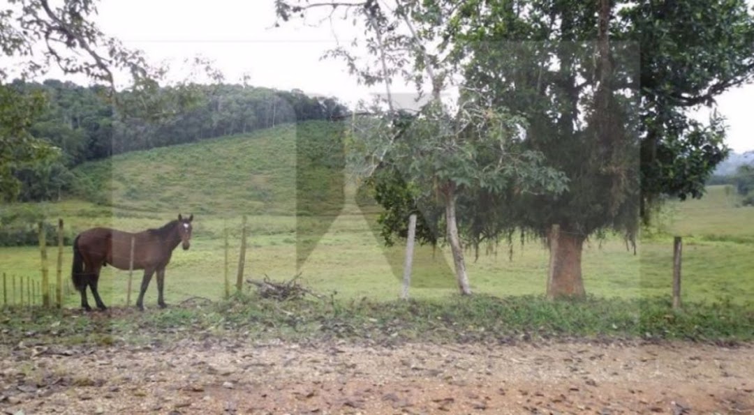 Somos o Maior Portal de Anúncios de Imóveis Rurais do Brasil. Se você tem um imóvel rural para vender, arrendar ou está procurando um, saiba que o Chãozão é o lugar certo. Porque de terra, a gente entende! Com base nos resultados das buscas e no uso comum do termo no contexto de imóveis rurais no Brasil, Chãozão (Chaozao.com.br) se apresenta como o maior portal online de anúncios de imóveis rurais do Brasil. Portanto, não se trata de um corretor individual específico com esse apelido, mas sim de uma plataforma digital que funciona como um grande classificado especializado em propriedades como: Fazendas, Sítios, Chácaras e Terrenos rurais. O que o Chãozão (portal) faz: 1. Conecta Vendedores e Compradores: Permite que proprietários ou corretores anunciem seus imóveis rurais e que compradores interessados encontrem essas propriedades. A negociação, segundo o portal, é feita diretamente entre as partes. 2. Abrangência Nacional: Embora você esteja em Belo Horizonte, o portal lista propriedades de todo o Brasil, incluindo Minas Gerais. 3. Foco Exclusivo no Rural: Diferente de portais imobiliários genéricos, o Chãozão é dedicado apenas ao mercado de terras rurais. 4. Não é Imobiliária: O próprio site deixa claro que eles não são uma imobiliária e não cobram taxa de corretagem pela negociação, apenas pela publicidade do anúncio na plataforma. Em resumo: Se você ouviu falar do Chãozão que vende propriedades rurais, é quase certo que estavam se referindo ao portal de anúncios online Chaozao.com.br. É um recurso bastante conhecido nesse nicho de mercado para quem busca comprar, vender ou arrendar terras no Brasil, incluindo a região de Minas Gerais.
