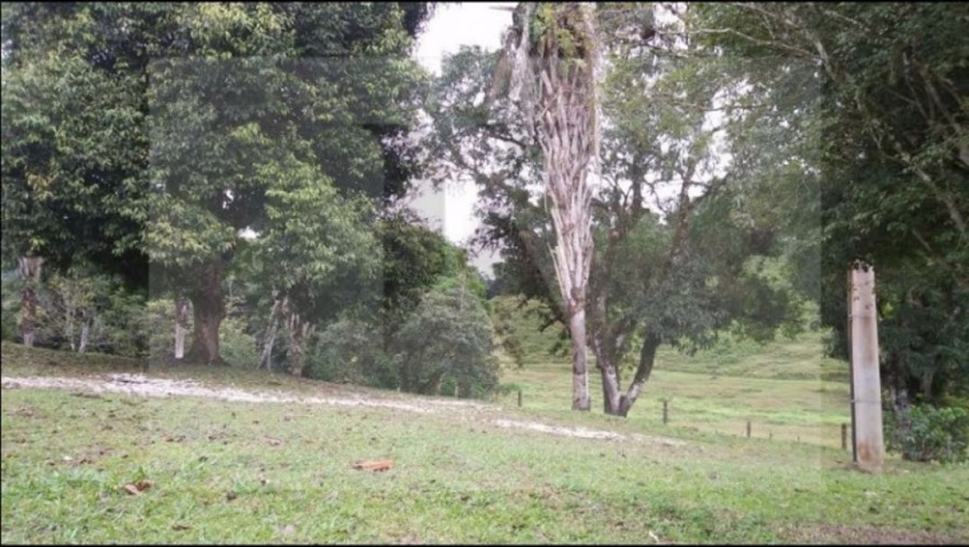 Somos o Maior Portal de Anúncios de Imóveis Rurais do Brasil. Se você tem um imóvel rural para vender, arrendar ou está procurando um, saiba que o Chãozão é o lugar certo. Porque de terra, a gente entende! Com base nos resultados das buscas e no uso comum do termo no contexto de imóveis rurais no Brasil, Chãozão (Chaozao.com.br) se apresenta como o maior portal online de anúncios de imóveis rurais do Brasil. Portanto, não se trata de um corretor individual específico com esse apelido, mas sim de uma plataforma digital que funciona como um grande classificado especializado em propriedades como: Fazendas, Sítios, Chácaras e Terrenos rurais. O que o Chãozão (portal) faz: 1. Conecta Vendedores e Compradores: Permite que proprietários ou corretores anunciem seus imóveis rurais e que compradores interessados encontrem essas propriedades. A negociação, segundo o portal, é feita diretamente entre as partes. 2. Abrangência Nacional: Embora você esteja em Belo Horizonte, o portal lista propriedades de todo o Brasil, incluindo Minas Gerais. 3. Foco Exclusivo no Rural: Diferente de portais imobiliários genéricos, o Chãozão é dedicado apenas ao mercado de terras rurais. 4. Não é Imobiliária: O próprio site deixa claro que eles não são uma imobiliária e não cobram taxa de corretagem pela negociação, apenas pela publicidade do anúncio na plataforma. Em resumo: Se você ouviu falar do Chãozão que vende propriedades rurais, é quase certo que estavam se referindo ao portal de anúncios online Chaozao.com.br. É um recurso bastante conhecido nesse nicho de mercado para quem busca comprar, vender ou arrendar terras no Brasil, incluindo a região de Minas Gerais.