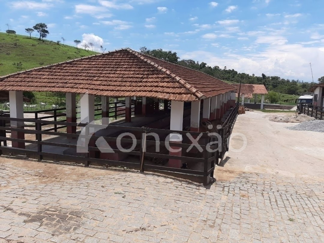 Chãozão - O Maior Portal de Anúncios de Imóveis Rurais do Brasil.