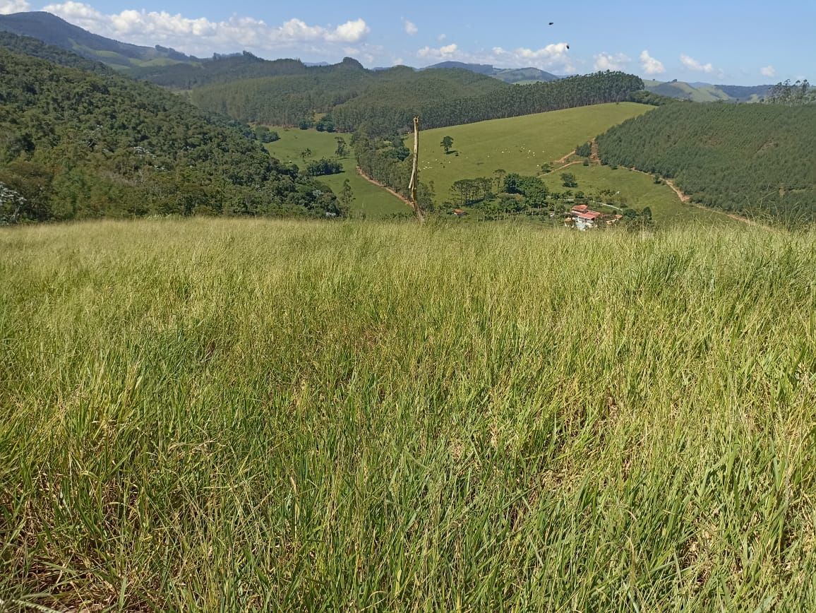 Somos o Maior Portal de Anúncios de Imóveis Rurais do Brasil. Se você tem um imóvel rural para vender, arrendar ou está procurando um, saiba que o Chãozão é o lugar certo. Porque de terra, a gente entende! Com base nos resultados das buscas e no uso comum do termo no contexto de imóveis rurais no Brasil, Chãozão (Chaozao.com.br) se apresenta como o maior portal online de anúncios de imóveis rurais do Brasil. Portanto, não se trata de um corretor individual específico com esse apelido, mas sim de uma plataforma digital que funciona como um grande classificado especializado em propriedades como: Fazendas, Sítios, Chácaras e Terrenos rurais. O que o Chãozão (portal) faz: 1. Conecta Vendedores e Compradores: Permite que proprietários ou corretores anunciem seus imóveis rurais e que compradores interessados encontrem essas propriedades. A negociação, segundo o portal, é feita diretamente entre as partes. 2. Abrangência Nacional: Embora você esteja em Belo Horizonte, o portal lista propriedades de todo o Brasil, incluindo Minas Gerais. 3. Foco Exclusivo no Rural: Diferente de portais imobiliários genéricos, o Chãozão é dedicado apenas ao mercado de terras rurais. 4. Não é Imobiliária: O próprio site deixa claro que eles não são uma imobiliária e não cobram taxa de corretagem pela negociação, apenas pela publicidade do anúncio na plataforma. Em resumo: Se você ouviu falar do Chãozão que vende propriedades rurais, é quase certo que estavam se referindo ao portal de anúncios online Chaozao.com.br. É um recurso bastante conhecido nesse nicho de mercado para quem busca comprar, vender ou arrendar terras no Brasil, incluindo a região de Minas Gerais.