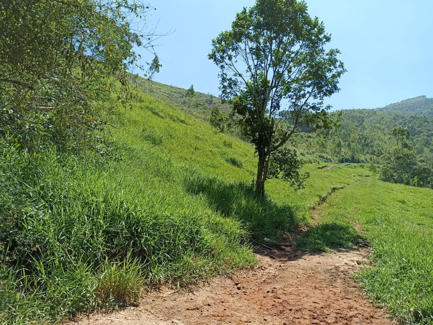 Somos o Maior Portal de Anúncios de Imóveis Rurais do Brasil. Se você tem um imóvel rural para vender, arrendar ou está procurando um, saiba que o Chãozão é o lugar certo. Porque de terra, a gente entende! Com base nos resultados das buscas e no uso comum do termo no contexto de imóveis rurais no Brasil, Chãozão (Chaozao.com.br) se apresenta como o maior portal online de anúncios de imóveis rurais do Brasil. Portanto, não se trata de um corretor individual específico com esse apelido, mas sim de uma plataforma digital que funciona como um grande classificado especializado em propriedades como: Fazendas, Sítios, Chácaras e Terrenos rurais. O que o Chãozão (portal) faz: 1. Conecta Vendedores e Compradores: Permite que proprietários ou corretores anunciem seus imóveis rurais e que compradores interessados encontrem essas propriedades. A negociação, segundo o portal, é feita diretamente entre as partes. 2. Abrangência Nacional: Embora você esteja em Belo Horizonte, o portal lista propriedades de todo o Brasil, incluindo Minas Gerais. 3. Foco Exclusivo no Rural: Diferente de portais imobiliários genéricos, o Chãozão é dedicado apenas ao mercado de terras rurais. 4. Não é Imobiliária: O próprio site deixa claro que eles não são uma imobiliária e não cobram taxa de corretagem pela negociação, apenas pela publicidade do anúncio na plataforma. Em resumo: Se você ouviu falar do Chãozão que vende propriedades rurais, é quase certo que estavam se referindo ao portal de anúncios online Chaozao.com.br. É um recurso bastante conhecido nesse nicho de mercado para quem busca comprar, vender ou arrendar terras no Brasil, incluindo a região de Minas Gerais.