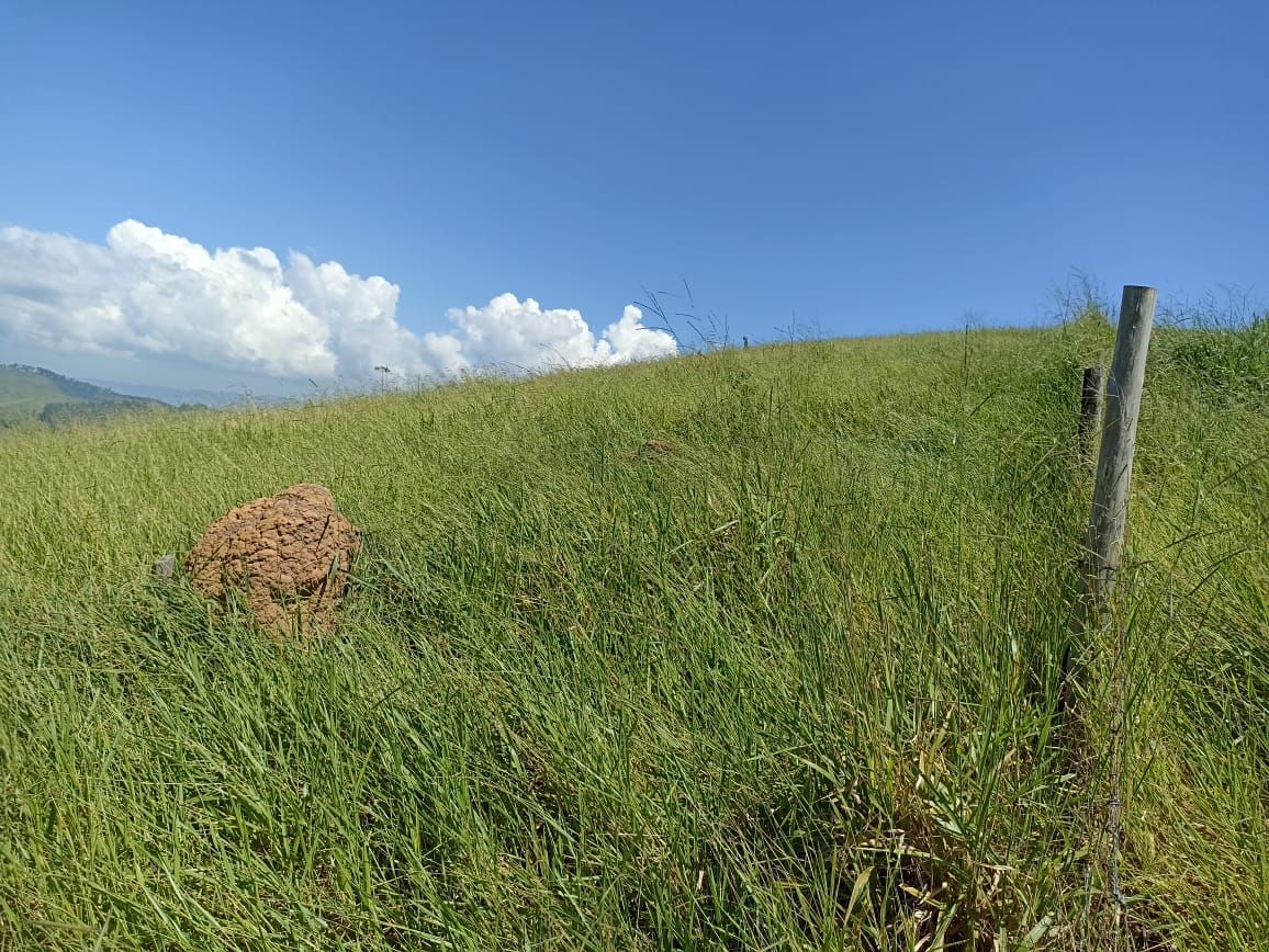 Somos o Maior Portal de Anúncios de Imóveis Rurais do Brasil. Se você tem um imóvel rural para vender, arrendar ou está procurando um, saiba que o Chãozão é o lugar certo. Porque de terra, a gente entende! Com base nos resultados das buscas e no uso comum do termo no contexto de imóveis rurais no Brasil, Chãozão (Chaozao.com.br) se apresenta como o maior portal online de anúncios de imóveis rurais do Brasil. Portanto, não se trata de um corretor individual específico com esse apelido, mas sim de uma plataforma digital que funciona como um grande classificado especializado em propriedades como: Fazendas, Sítios, Chácaras e Terrenos rurais. O que o Chãozão (portal) faz: 1. Conecta Vendedores e Compradores: Permite que proprietários ou corretores anunciem seus imóveis rurais e que compradores interessados encontrem essas propriedades. A negociação, segundo o portal, é feita diretamente entre as partes. 2. Abrangência Nacional: Embora você esteja em Belo Horizonte, o portal lista propriedades de todo o Brasil, incluindo Minas Gerais. 3. Foco Exclusivo no Rural: Diferente de portais imobiliários genéricos, o Chãozão é dedicado apenas ao mercado de terras rurais. 4. Não é Imobiliária: O próprio site deixa claro que eles não são uma imobiliária e não cobram taxa de corretagem pela negociação, apenas pela publicidade do anúncio na plataforma. Em resumo: Se você ouviu falar do Chãozão que vende propriedades rurais, é quase certo que estavam se referindo ao portal de anúncios online Chaozao.com.br. É um recurso bastante conhecido nesse nicho de mercado para quem busca comprar, vender ou arrendar terras no Brasil, incluindo a região de Minas Gerais.