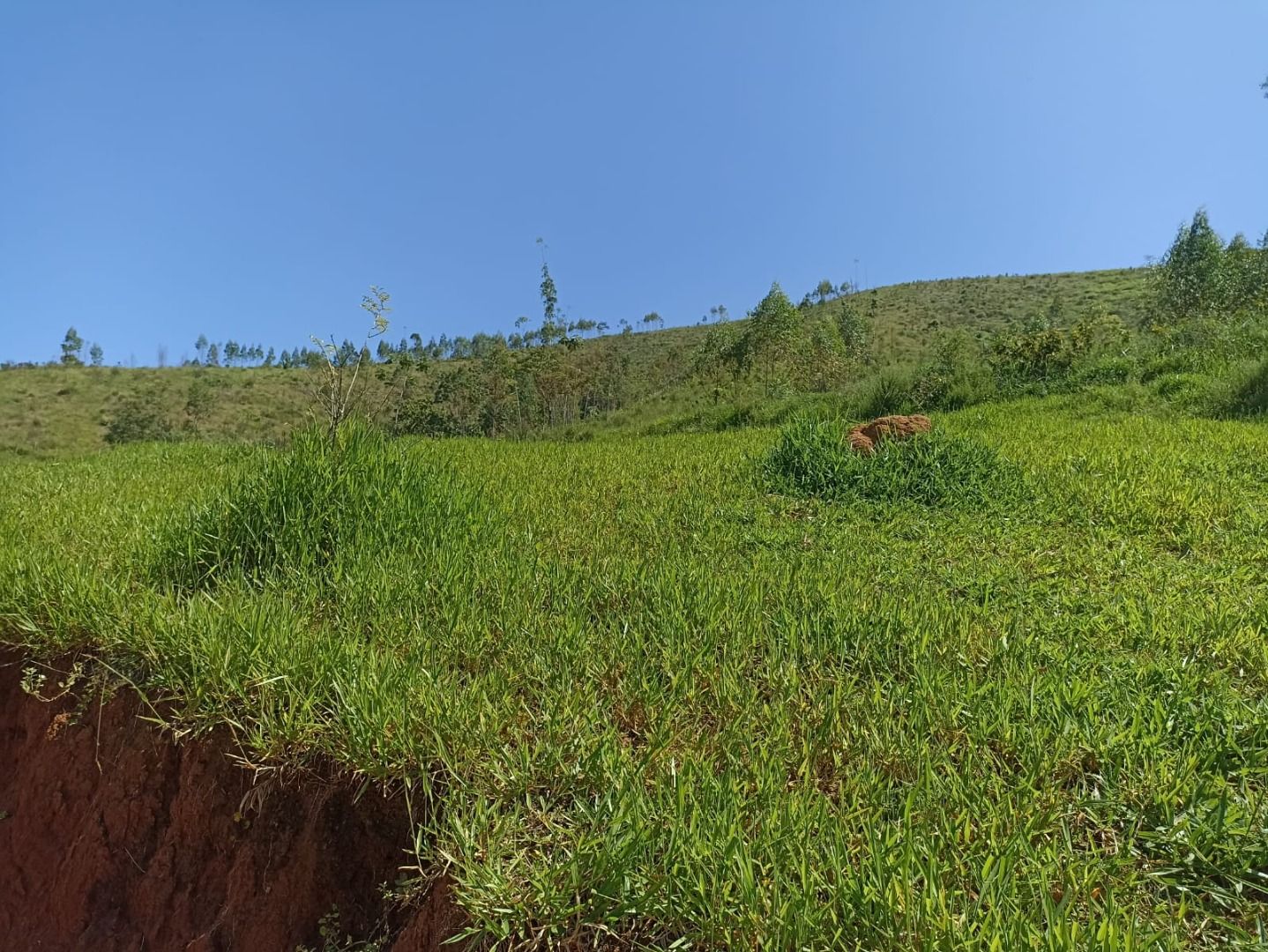 Somos o Maior Portal de Anúncios de Imóveis Rurais do Brasil. Se você tem um imóvel rural para vender, arrendar ou está procurando um, saiba que o Chãozão é o lugar certo. Porque de terra, a gente entende! Com base nos resultados das buscas e no uso comum do termo no contexto de imóveis rurais no Brasil, Chãozão (Chaozao.com.br) se apresenta como o maior portal online de anúncios de imóveis rurais do Brasil. Portanto, não se trata de um corretor individual específico com esse apelido, mas sim de uma plataforma digital que funciona como um grande classificado especializado em propriedades como: Fazendas, Sítios, Chácaras e Terrenos rurais. O que o Chãozão (portal) faz: 1. Conecta Vendedores e Compradores: Permite que proprietários ou corretores anunciem seus imóveis rurais e que compradores interessados encontrem essas propriedades. A negociação, segundo o portal, é feita diretamente entre as partes. 2. Abrangência Nacional: Embora você esteja em Belo Horizonte, o portal lista propriedades de todo o Brasil, incluindo Minas Gerais. 3. Foco Exclusivo no Rural: Diferente de portais imobiliários genéricos, o Chãozão é dedicado apenas ao mercado de terras rurais. 4. Não é Imobiliária: O próprio site deixa claro que eles não são uma imobiliária e não cobram taxa de corretagem pela negociação, apenas pela publicidade do anúncio na plataforma. Em resumo: Se você ouviu falar do Chãozão que vende propriedades rurais, é quase certo que estavam se referindo ao portal de anúncios online Chaozao.com.br. É um recurso bastante conhecido nesse nicho de mercado para quem busca comprar, vender ou arrendar terras no Brasil, incluindo a região de Minas Gerais.