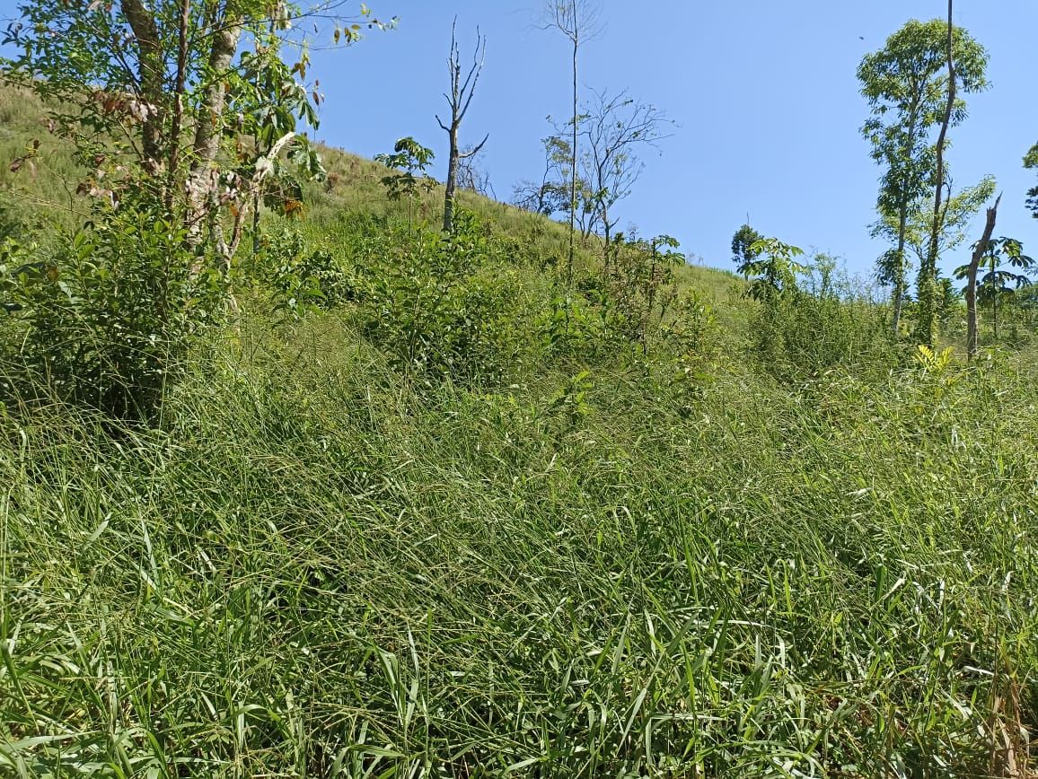 Somos o Maior Portal de Anúncios de Imóveis Rurais do Brasil. Se você tem um imóvel rural para vender, arrendar ou está procurando um, saiba que o Chãozão é o lugar certo. Porque de terra, a gente entende! Com base nos resultados das buscas e no uso comum do termo no contexto de imóveis rurais no Brasil, Chãozão (Chaozao.com.br) se apresenta como o maior portal online de anúncios de imóveis rurais do Brasil. Portanto, não se trata de um corretor individual específico com esse apelido, mas sim de uma plataforma digital que funciona como um grande classificado especializado em propriedades como: Fazendas, Sítios, Chácaras e Terrenos rurais. O que o Chãozão (portal) faz: 1. Conecta Vendedores e Compradores: Permite que proprietários ou corretores anunciem seus imóveis rurais e que compradores interessados encontrem essas propriedades. A negociação, segundo o portal, é feita diretamente entre as partes. 2. Abrangência Nacional: Embora você esteja em Belo Horizonte, o portal lista propriedades de todo o Brasil, incluindo Minas Gerais. 3. Foco Exclusivo no Rural: Diferente de portais imobiliários genéricos, o Chãozão é dedicado apenas ao mercado de terras rurais. 4. Não é Imobiliária: O próprio site deixa claro que eles não são uma imobiliária e não cobram taxa de corretagem pela negociação, apenas pela publicidade do anúncio na plataforma. Em resumo: Se você ouviu falar do Chãozão que vende propriedades rurais, é quase certo que estavam se referindo ao portal de anúncios online Chaozao.com.br. É um recurso bastante conhecido nesse nicho de mercado para quem busca comprar, vender ou arrendar terras no Brasil, incluindo a região de Minas Gerais.