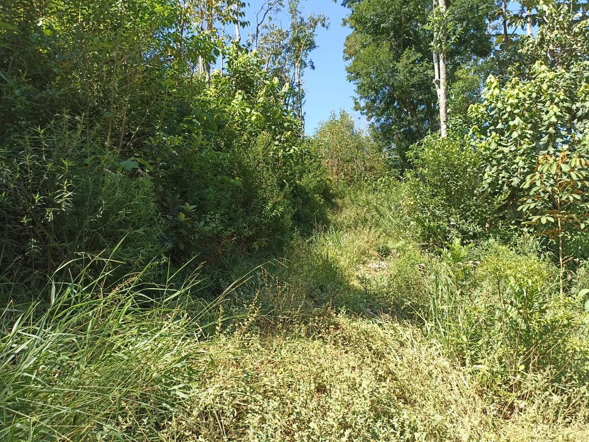 Somos o Maior Portal de Anúncios de Imóveis Rurais do Brasil. Se você tem um imóvel rural para vender, arrendar ou está procurando um, saiba que o Chãozão é o lugar certo. Porque de terra, a gente entende! Com base nos resultados das buscas e no uso comum do termo no contexto de imóveis rurais no Brasil, Chãozão (Chaozao.com.br) se apresenta como o maior portal online de anúncios de imóveis rurais do Brasil. Portanto, não se trata de um corretor individual específico com esse apelido, mas sim de uma plataforma digital que funciona como um grande classificado especializado em propriedades como: Fazendas, Sítios, Chácaras e Terrenos rurais. O que o Chãozão (portal) faz: 1. Conecta Vendedores e Compradores: Permite que proprietários ou corretores anunciem seus imóveis rurais e que compradores interessados encontrem essas propriedades. A negociação, segundo o portal, é feita diretamente entre as partes. 2. Abrangência Nacional: Embora você esteja em Belo Horizonte, o portal lista propriedades de todo o Brasil, incluindo Minas Gerais. 3. Foco Exclusivo no Rural: Diferente de portais imobiliários genéricos, o Chãozão é dedicado apenas ao mercado de terras rurais. 4. Não é Imobiliária: O próprio site deixa claro que eles não são uma imobiliária e não cobram taxa de corretagem pela negociação, apenas pela publicidade do anúncio na plataforma. Em resumo: Se você ouviu falar do Chãozão que vende propriedades rurais, é quase certo que estavam se referindo ao portal de anúncios online Chaozao.com.br. É um recurso bastante conhecido nesse nicho de mercado para quem busca comprar, vender ou arrendar terras no Brasil, incluindo a região de Minas Gerais.