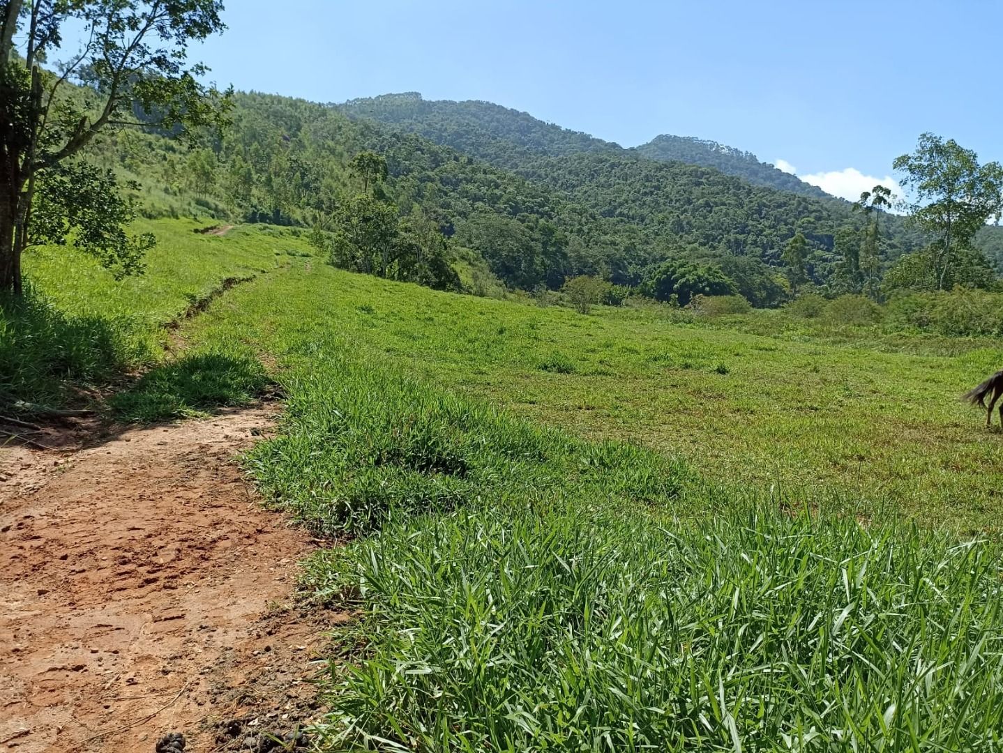 Somos o Maior Portal de Anúncios de Imóveis Rurais do Brasil. Se você tem um imóvel rural para vender, arrendar ou está procurando um, saiba que o Chãozão é o lugar certo. Porque de terra, a gente entende! Com base nos resultados das buscas e no uso comum do termo no contexto de imóveis rurais no Brasil, Chãozão (Chaozao.com.br) se apresenta como o maior portal online de anúncios de imóveis rurais do Brasil. Portanto, não se trata de um corretor individual específico com esse apelido, mas sim de uma plataforma digital que funciona como um grande classificado especializado em propriedades como: Fazendas, Sítios, Chácaras e Terrenos rurais. O que o Chãozão (portal) faz: 1. Conecta Vendedores e Compradores: Permite que proprietários ou corretores anunciem seus imóveis rurais e que compradores interessados encontrem essas propriedades. A negociação, segundo o portal, é feita diretamente entre as partes. 2. Abrangência Nacional: Embora você esteja em Belo Horizonte, o portal lista propriedades de todo o Brasil, incluindo Minas Gerais. 3. Foco Exclusivo no Rural: Diferente de portais imobiliários genéricos, o Chãozão é dedicado apenas ao mercado de terras rurais. 4. Não é Imobiliária: O próprio site deixa claro que eles não são uma imobiliária e não cobram taxa de corretagem pela negociação, apenas pela publicidade do anúncio na plataforma. Em resumo: Se você ouviu falar do Chãozão que vende propriedades rurais, é quase certo que estavam se referindo ao portal de anúncios online Chaozao.com.br. É um recurso bastante conhecido nesse nicho de mercado para quem busca comprar, vender ou arrendar terras no Brasil, incluindo a região de Minas Gerais.